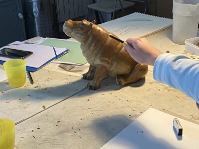 Cours et stages de dessin - aquarelle - pastels....