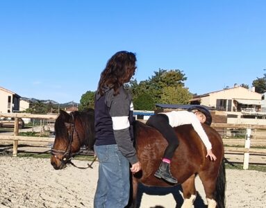 Stage " découvrir, ressentir" avec les poneys