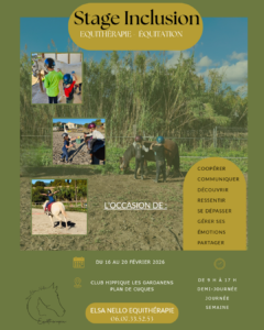 Stage " découvrir, ressentir" avec les poneys