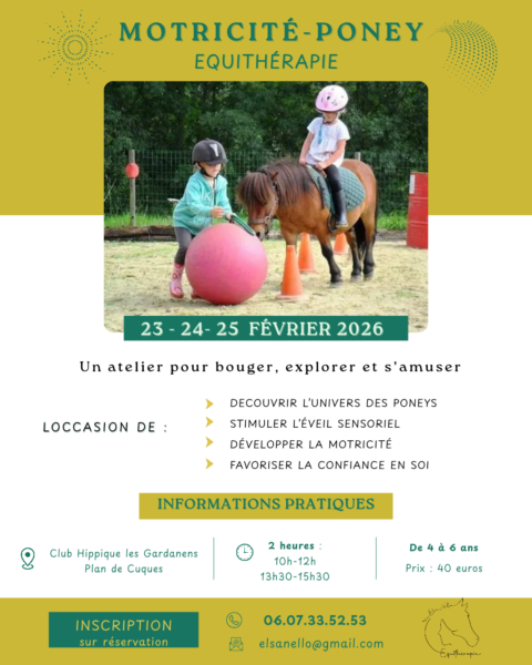 Motricité avec le poney