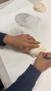 Ateliers de dessin 5 jours vacances de février du 16-28 fevrier