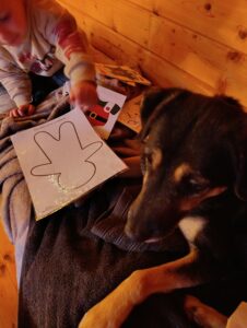 Zoopédagogie , accompagnement scolaire auprès de l'animal