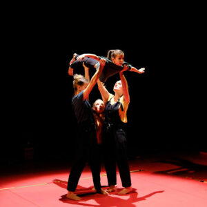 Le labyrinthe de l'oie - spectacle de danse dès 6 ans